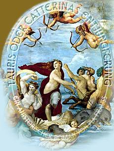 TAURIS oder Catterinas Entjungferung. Ein ahistorischer Roman von Pia Frauss